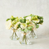 K and K Interiors RANUNCULUS IN GLASS VASE WITH WATER