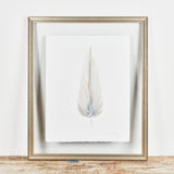 By Lacey MIDDLE FLOATED FRAMED FEATHER SERIES 3 NO 1