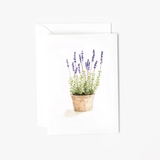 Emily Lex Studio LAVENDER MINI ENCLOSURE NOTECARD
