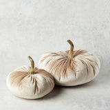 K and K Interiors VELVET STUFFED PUMPKIN