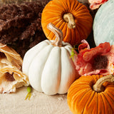 K and K Interiors RESIN PUMPKIN