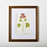 Lindsay Von FRAMED BOTANICAL ON PAPER 4