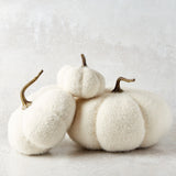 K and K Interiors FUZZY KNIT PUMPKIN