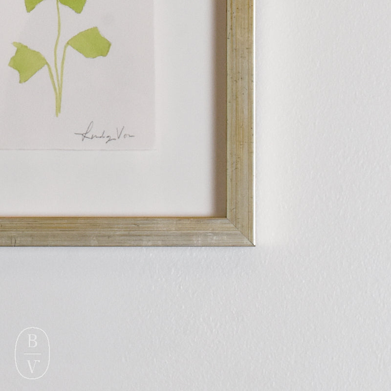 Lindsay Von FRAMED BOTANICALS 1