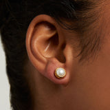 Dean Davidson SIGNATURE MIDI STUDS