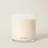 Cicada BOXED CANDLE