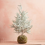 Creative Co-op FAUX SPRUCE TREE WITH MOSS BALL BASE 28