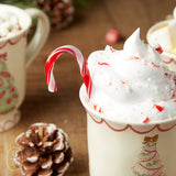 Creative Co-op CANDY CANE DRINK STIRRERS SET OF 10