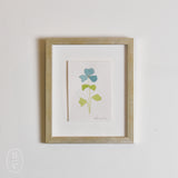 Lindsay Von FRAMED BOTANICALS 1