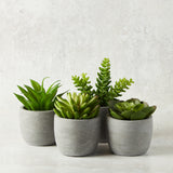 K and K Interiors SMALL SUCCULENT CEMENT POT