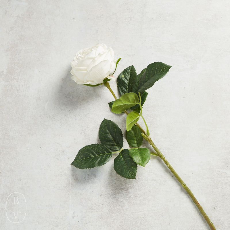K and K Interiors AUSTIN ROSE STEM White 24