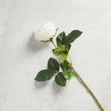 K and K Interiors AUSTIN ROSE STEM White 24" L