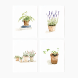 Emily Lex Studio POTTED PLANTS ASSORTED NOTECARD SET