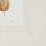 By Lacey FRAMED MINI FEATHER 1