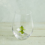 Creative Co-op HOLIDAY STEMLESS WINE GLASS WITH FIGURE Christmas Tree