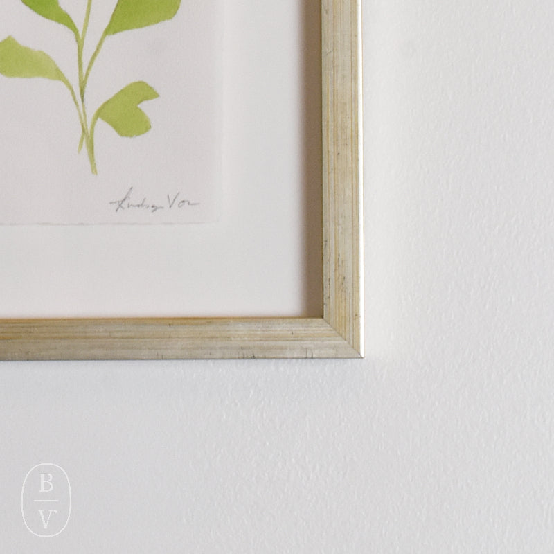 Lindsay Von FRAMED BOTANICALS 6