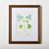 Lindsay Von FRAMED BOTANICAL ON PAPER 3