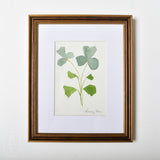 Lindsay Von FRAMED BOTANICAL ON PAPER 2