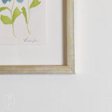 Lindsay Von FRAMED BOTANICALS 4