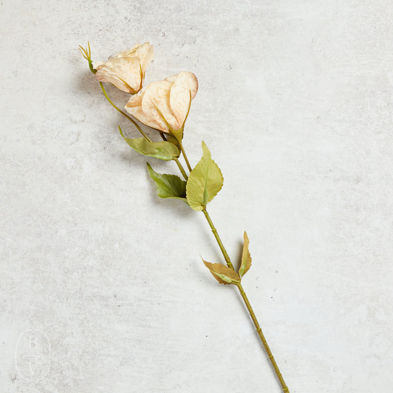 K and K Interiors REAL TOUCH BELLFLOWER Cream 19