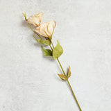 K and K Interiors REAL TOUCH BELLFLOWER Cream 19