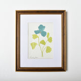 Lindsay Von FRAMED BOTANICAL ON PAPER 1