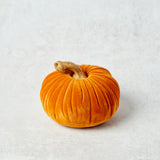 K and K Interiors VELVET RESIN PUMPKIN Orange 3