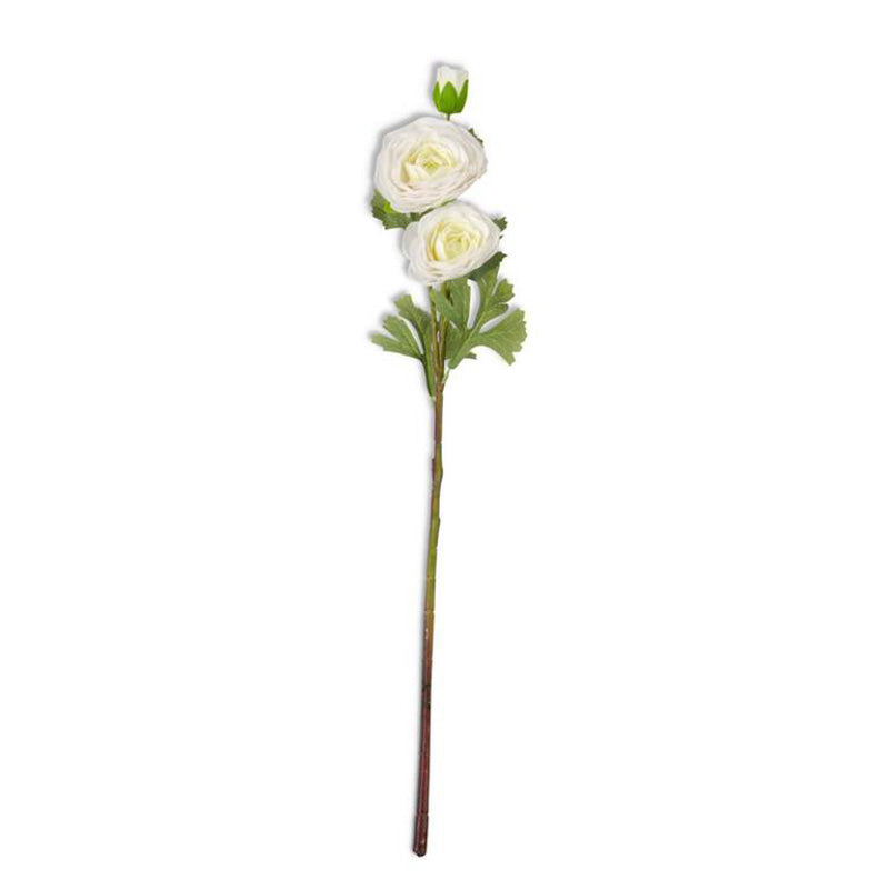 K and K Interiors RANUNCULUS STEM White 25