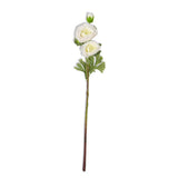 K and K Interiors RANUNCULUS STEM White 25