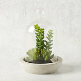 K and K Interiors SUCCULENT GLASS DOME CEMENT BASE I