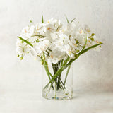 K and K Interiors ORCHID IN GLASS VASE WITH WATER White 16