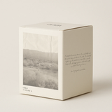 Cicada BOXED CANDLE