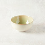 Creative Co-op HAND PAINTED STONEWARE BOWL