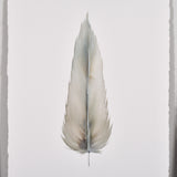 By Lacey LARGE FRAMED FLOATED FEATHER PAINTING - SERIES 14 NO 2