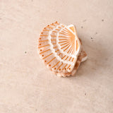 MINI SEASHELL CLAW HAIR CLIP