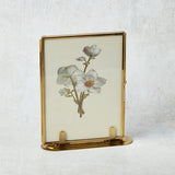 Creative Co-op GLASS STANDING PHOTO FRAMED Brass 5x7 Vertical