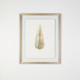 By Lacey MEDIUM FLOATED FRAMED FEATHER SERIES 12 NO 1