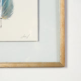 By Lacey SMALL FRAMED FLOATED FEATHER SERIES 14 NO 1