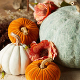 K and K Interiors REAL TOUCH BELLFLOWER