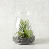 K and K Interiors SUCCULENT IN GLASS JAR I