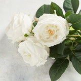K and K Interiors AUSTIN ROSE STEM
