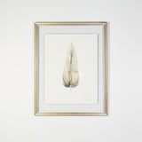 By Lacey MEDIUM FLOATED FRAMED FEATHER SERIES 12 NO 3