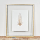 By Lacey SMALL FRAMED FLOATED FEATHER SERIES 14 NO 3