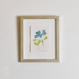 Lindsay Von FRAMED BOTANICALS 4