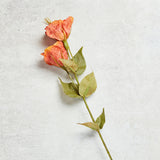 K and K Interiors REAL TOUCH BELLFLOWER Orange 19