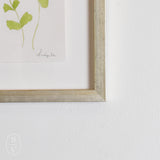 Lindsay Von FRAMED BOTANICALS 3