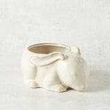 Accent Decor NESTLE BUNNY POT 6.75 x 4.75