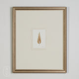 By Lacey FRAMED MINI FEATHER 4