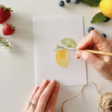 Emily Lex Studio FRUIT PAINTABLE WATERCOLOR NOTECARD SET