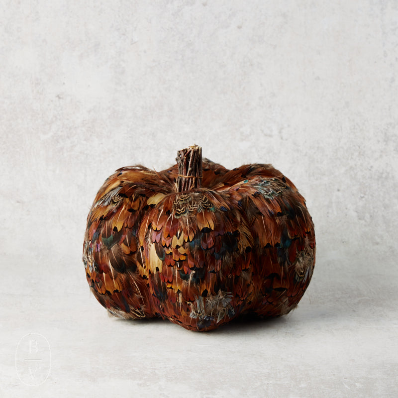 K and K Interiors TWIG STEM FEATHER PUMPKIN Orange Brown 6.5